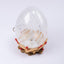Idée Art Exclusive. Shells & Coral Crystal Lamp. Large Size