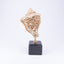 Jay Strongwater. Shell figurine With Marble Base Studded with Swarovski