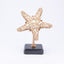 Jay Strongwater. Charlene Starfish Marble Stand Studded with Swarovski