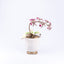 Jay Strongwater. Orchid In Cache Pot Studded with Swarovski. Large Size
