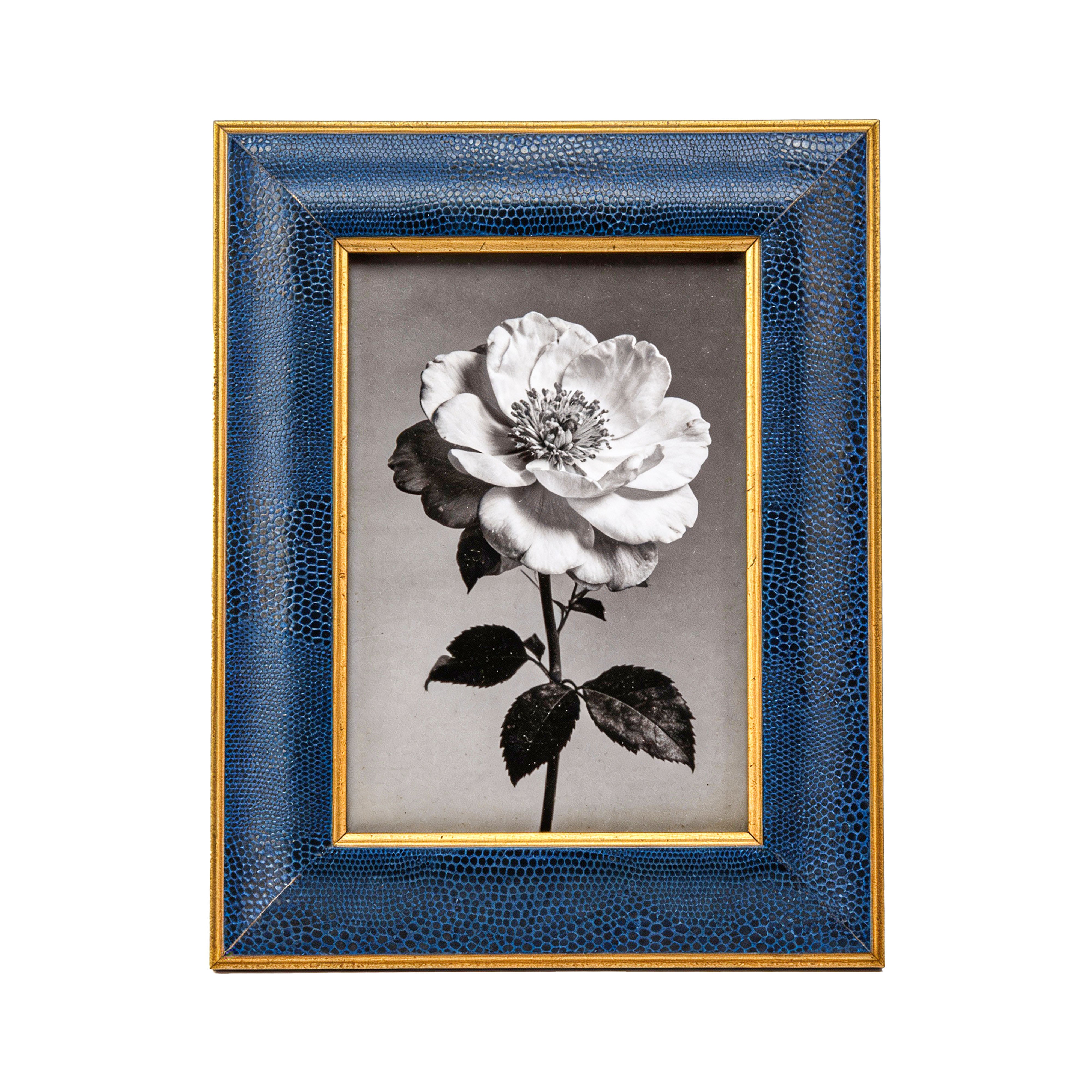 The Bucklers Fifth Avenue. Blue Leather Picture Frame. Large Size