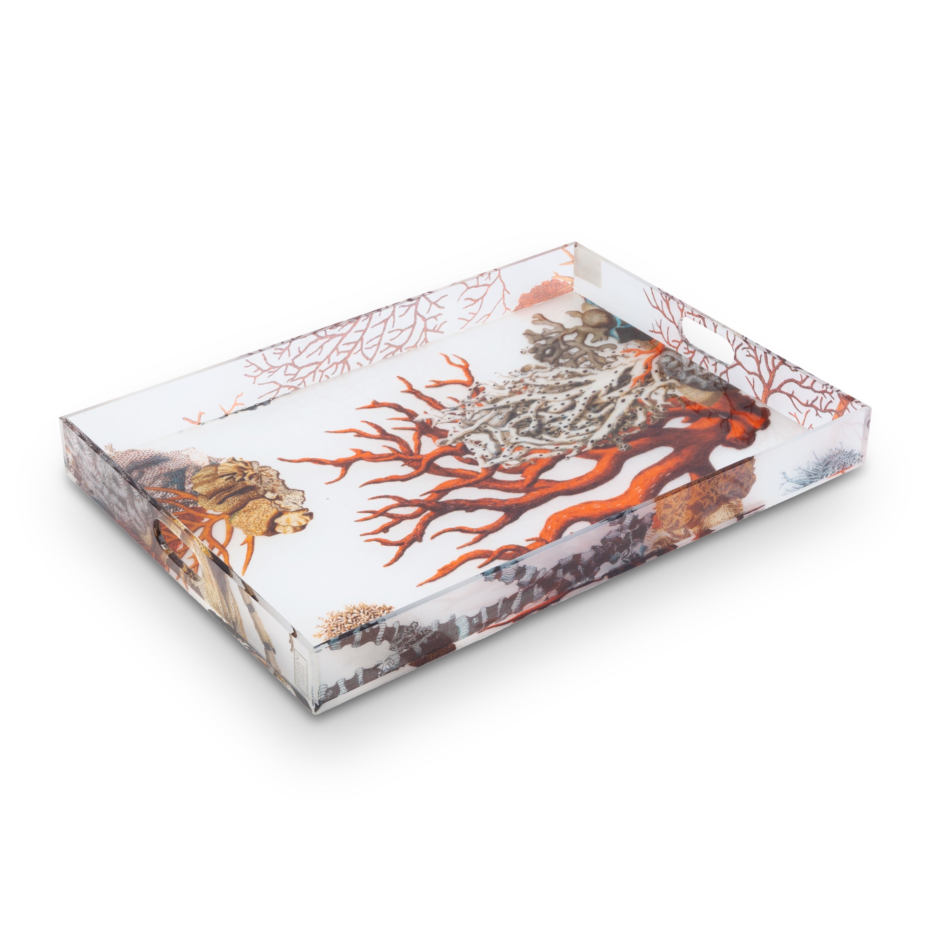 Oggetti. Neptune Plexiglass Tray. Large Size