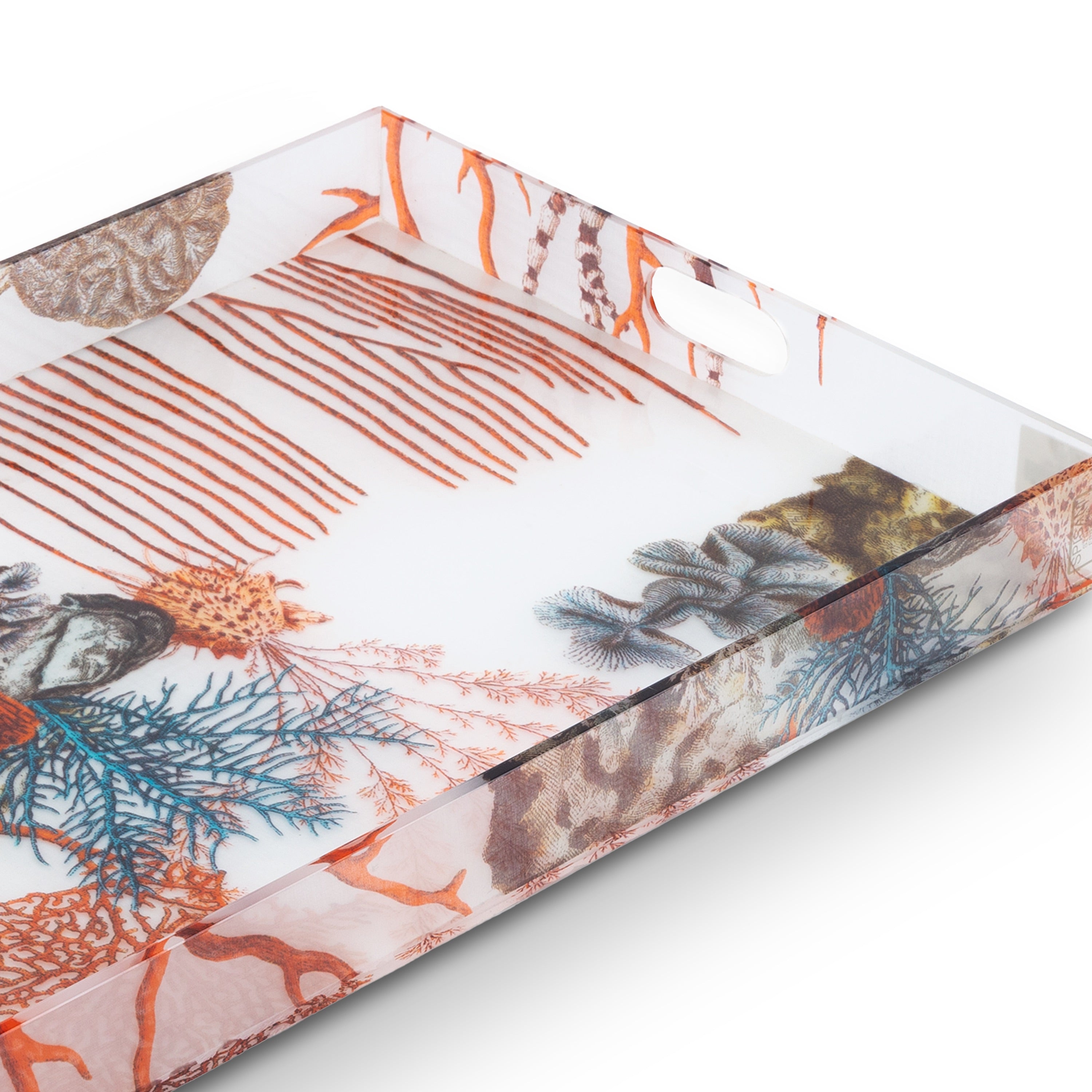 Oggetti. Neptune Plexiglass Tray. Large Size