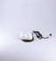 Standard Speciality. White Glass Shell Lamp. Medium Size