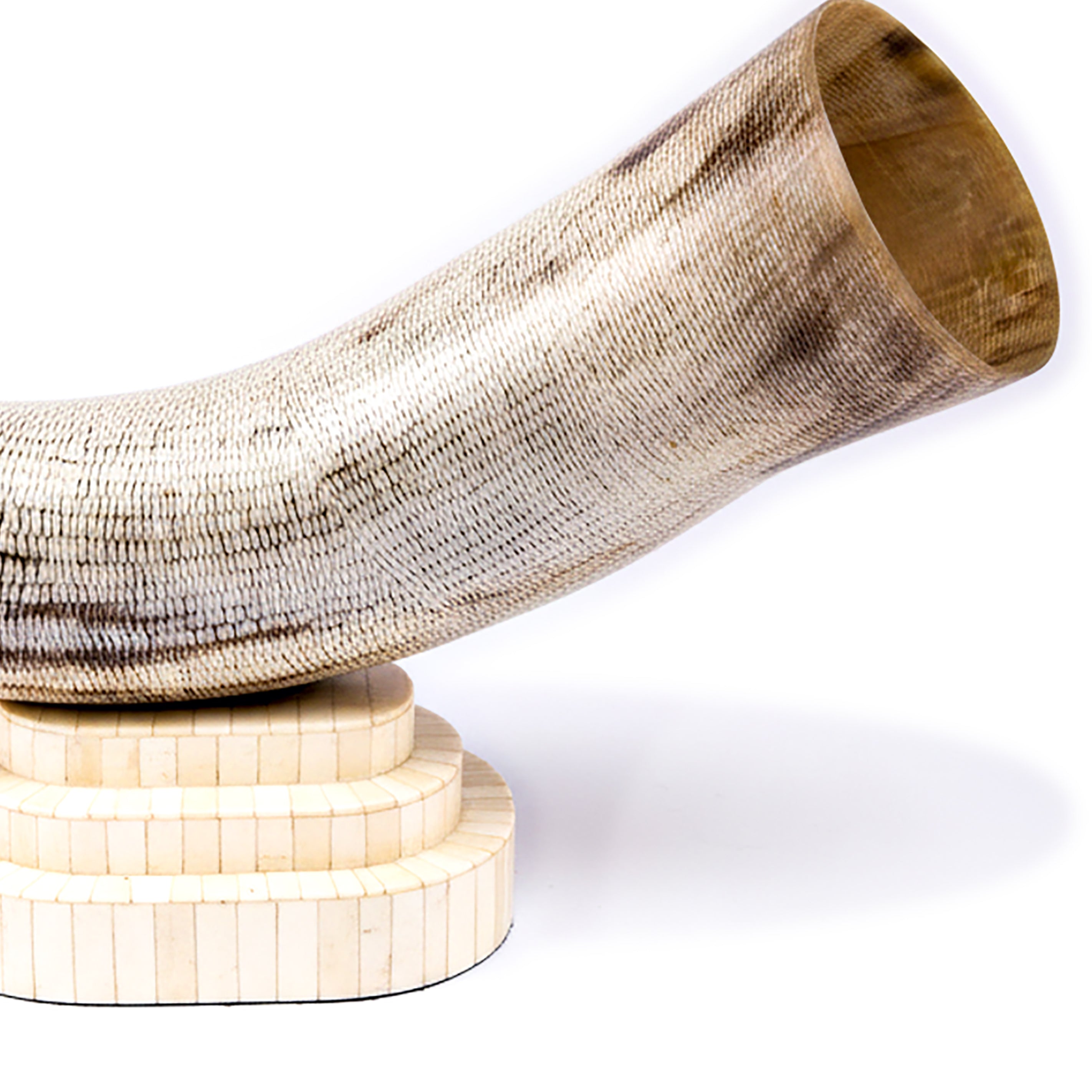 Bojay. Seashell Figurine Designed in Horn Shape. Large Size