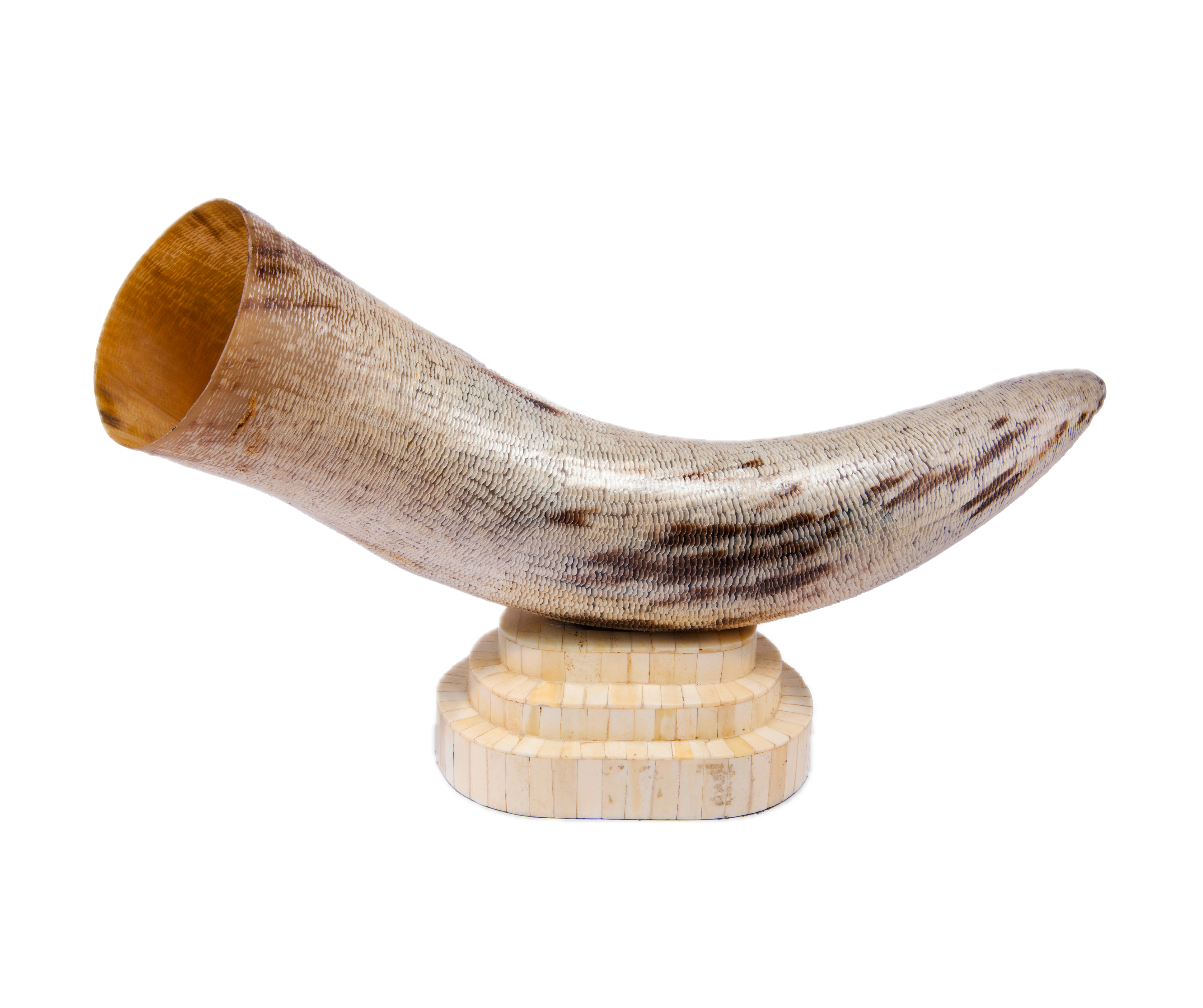 Bojay. Seashell Figurine Designed in Horn Shape. Large Size