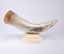 Bojay. Seashell Figurine Designed in Horn Shape. Large Size