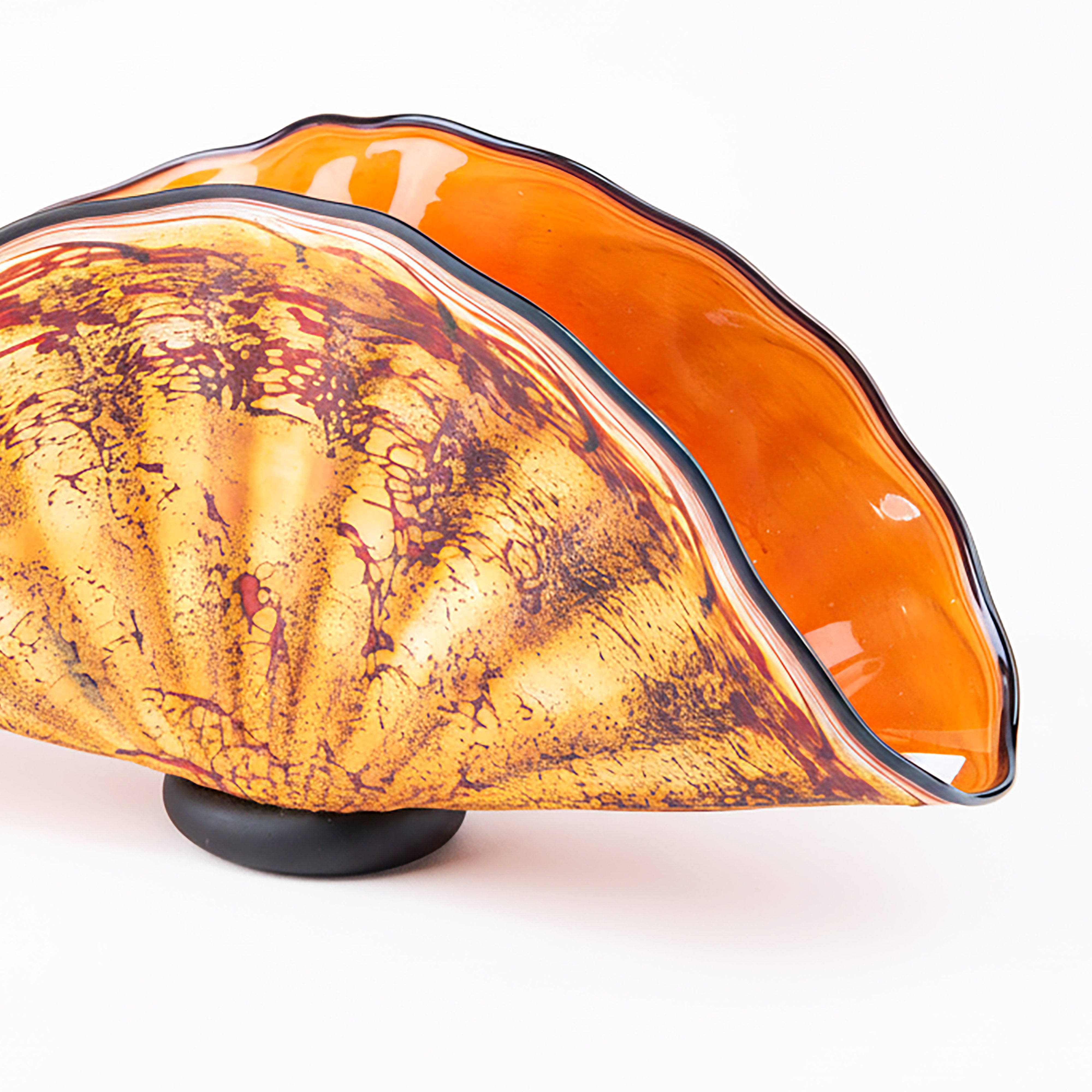 Gartner Blade. Primitive Shell Sculpture. Large Size