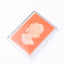 Natasha Farina Paris. Orange Cigarette Case in Cameo Design