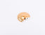 Global Views. Golden Porcelain Shell Shelf. Small Size