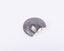 Global Views. Grey Porcelain Shell Shelf. Medium Size