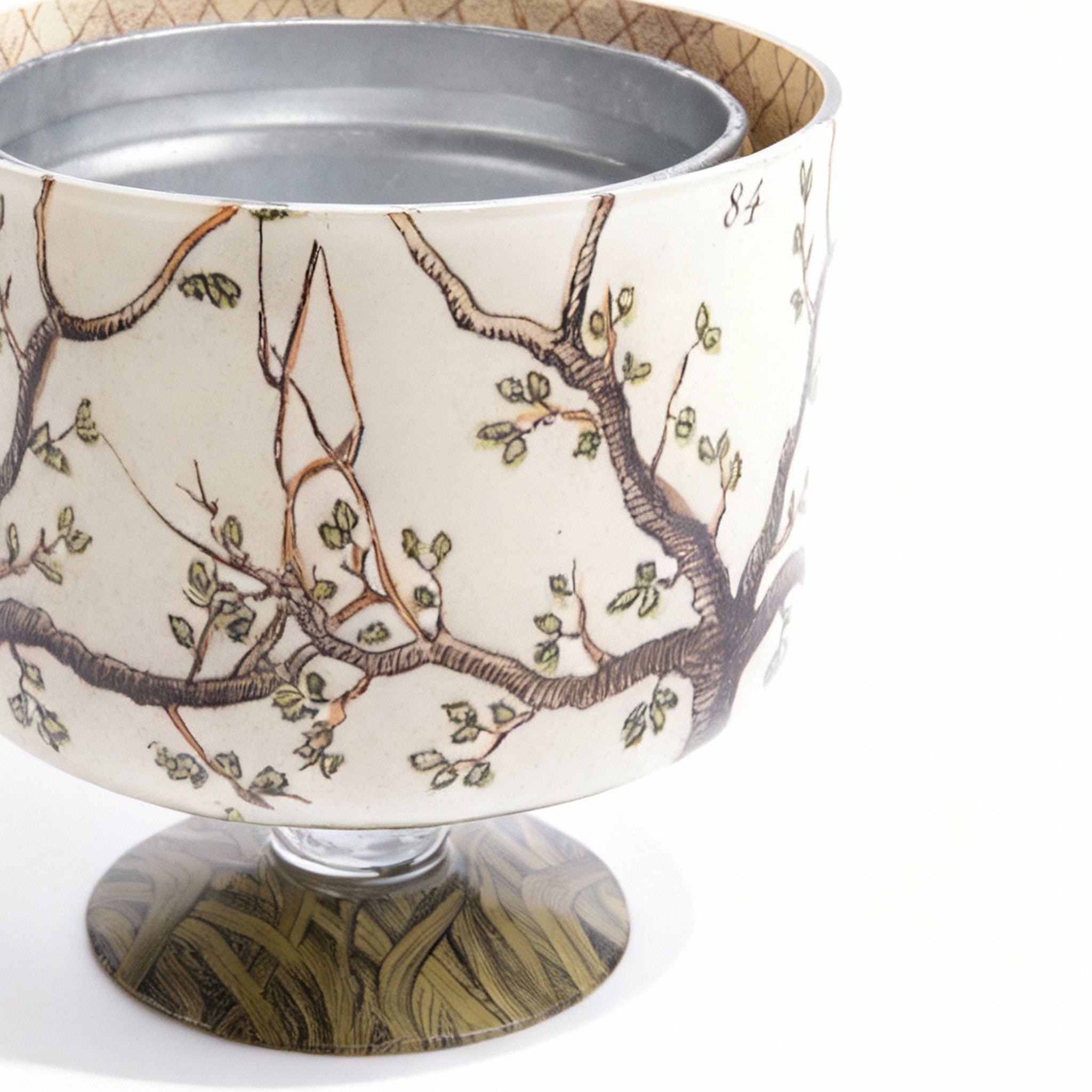 John Derian. Cache Pot with Tree Illustration