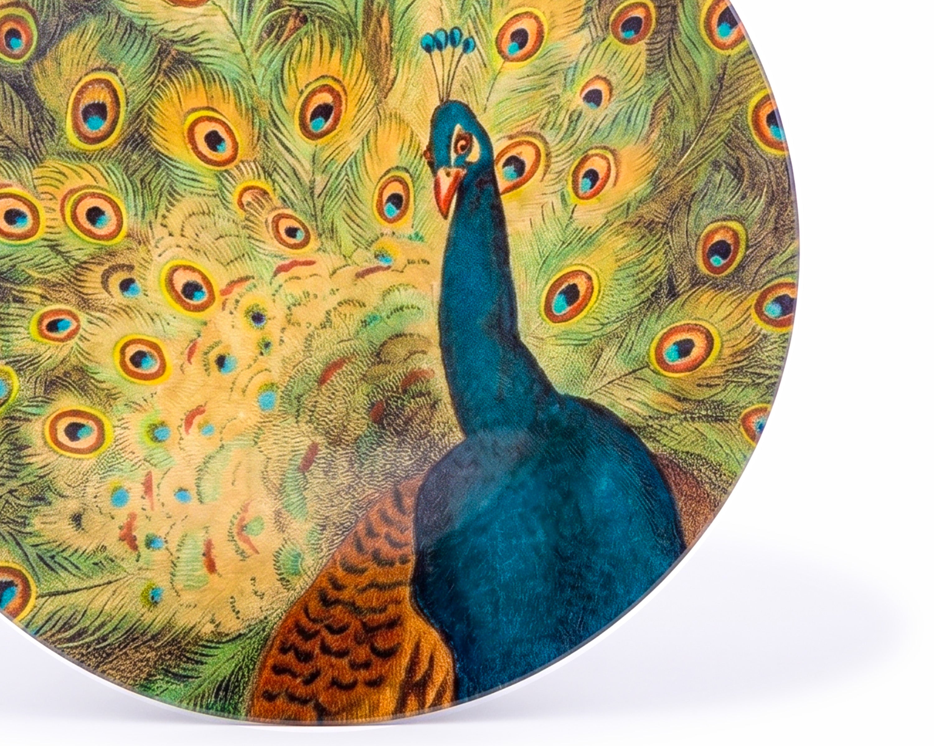 John Derian. Wall Decorative Plate Designed with A Peacock Print