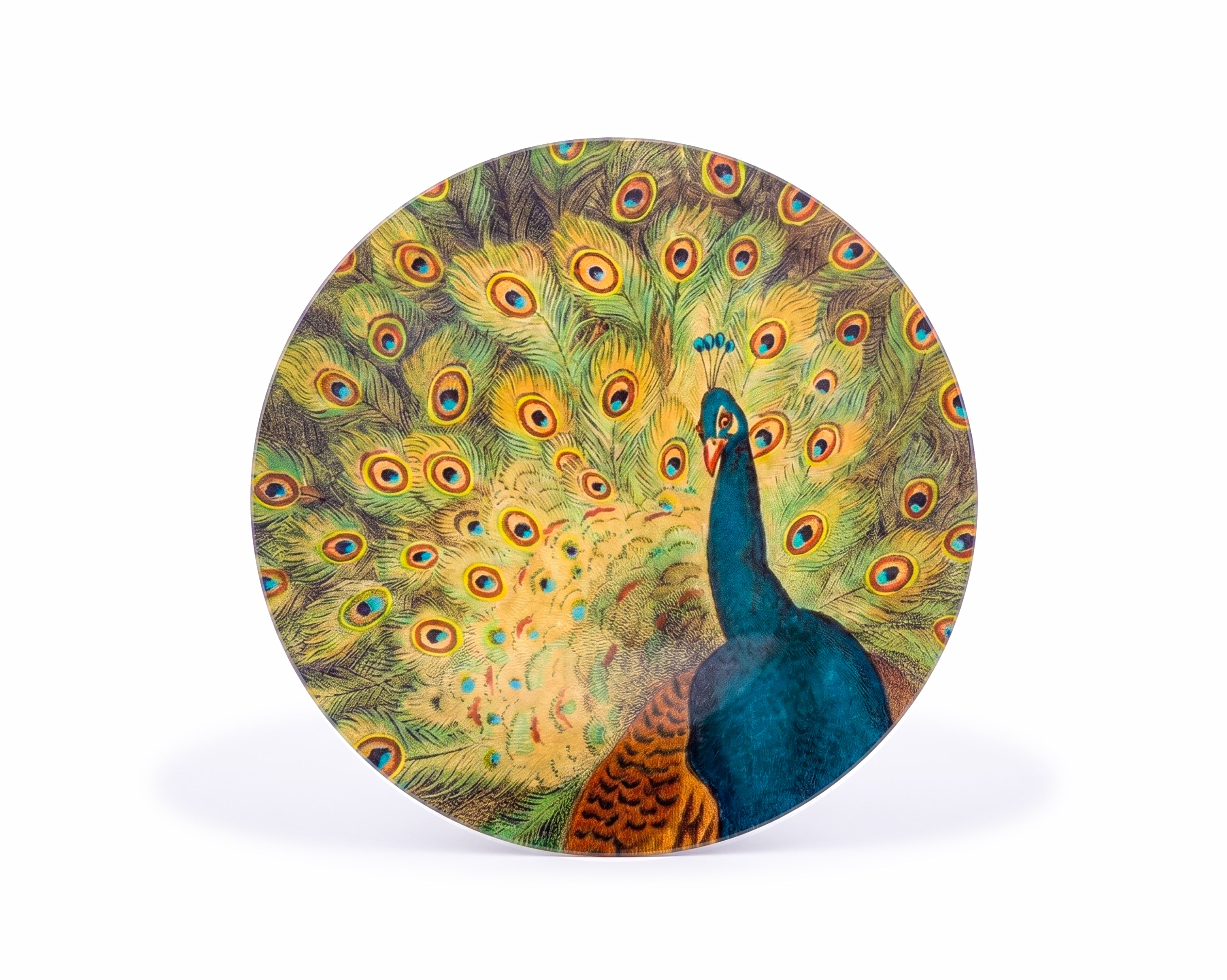 John Derian. Wall Decorative Plate Designed with A Peacock Print
