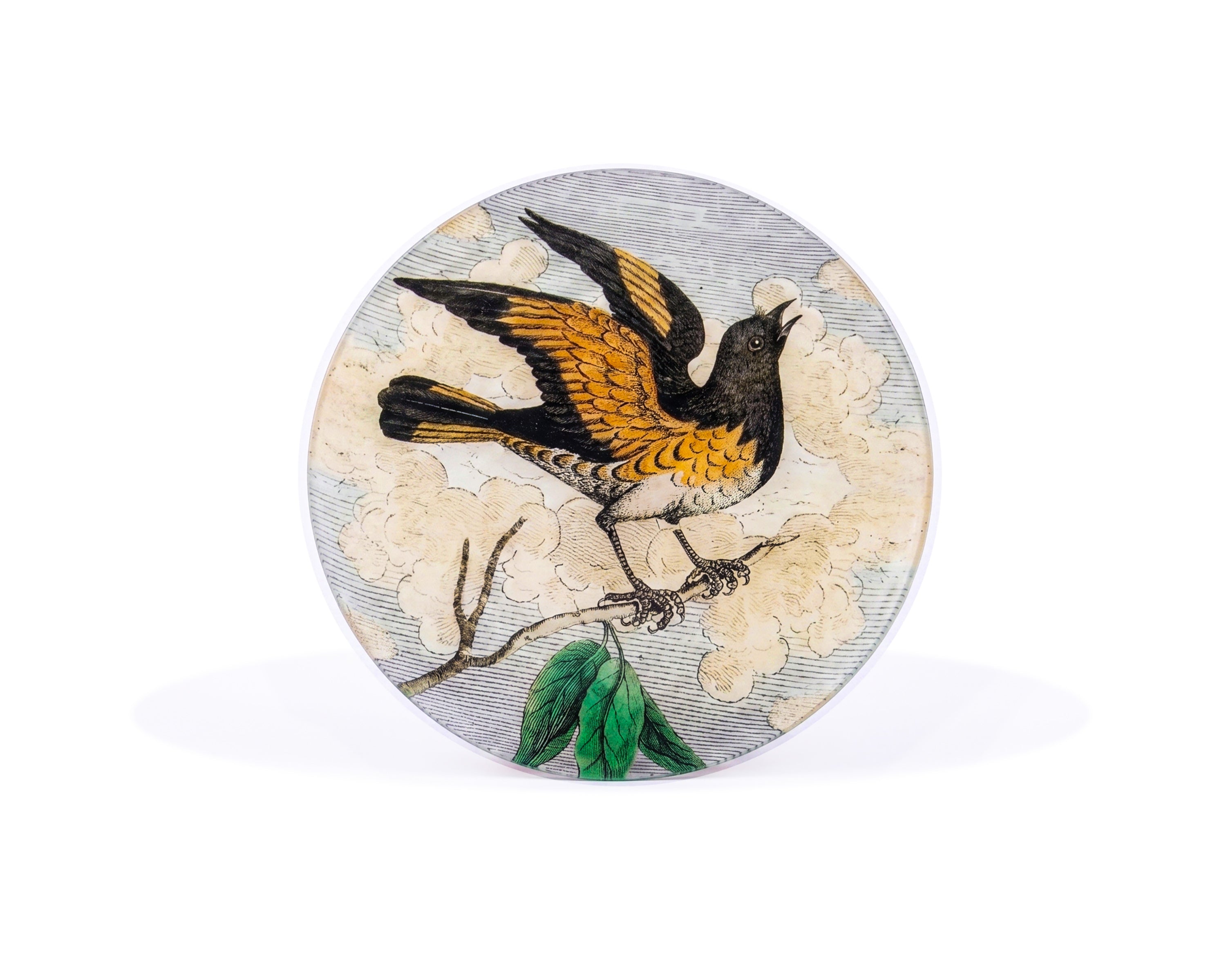 John Derian. Wall Decorative Plate Designed with a Bird