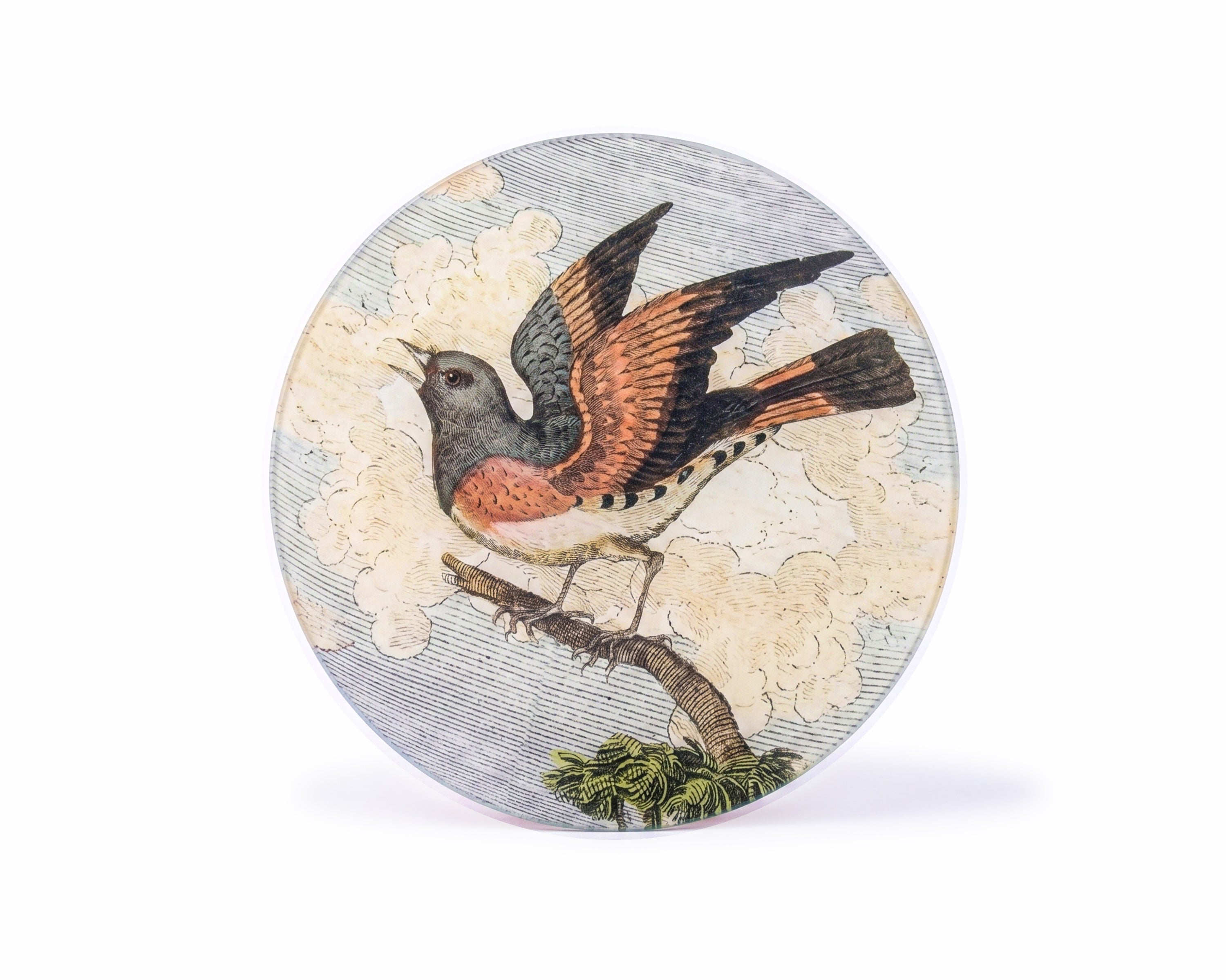 John Derian. Wall Decorative Plate Designed with American Redstart Bird