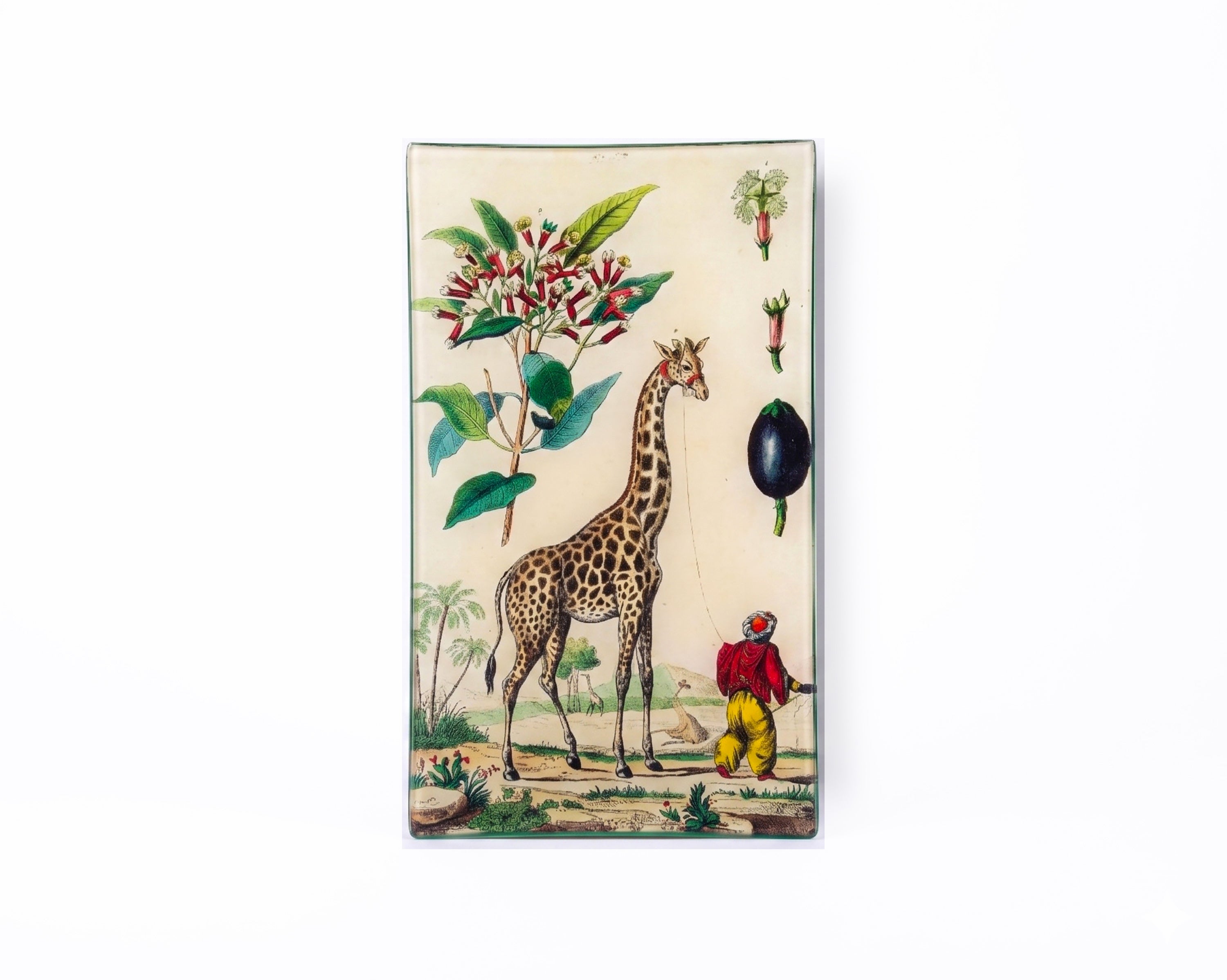John Derian. Wall Decorative Plate Designed with Giraffe Illustration