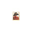 Personalized Expressions. Gold Card Holder with a Lady in Orange Illustration. Small Size