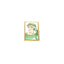 Personalized Expressions. Gold Card Holder with a Lady in Green Illustration. Small Size