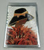 Personalized Expressions. Large Memo Pad in a Lady in Orange Design