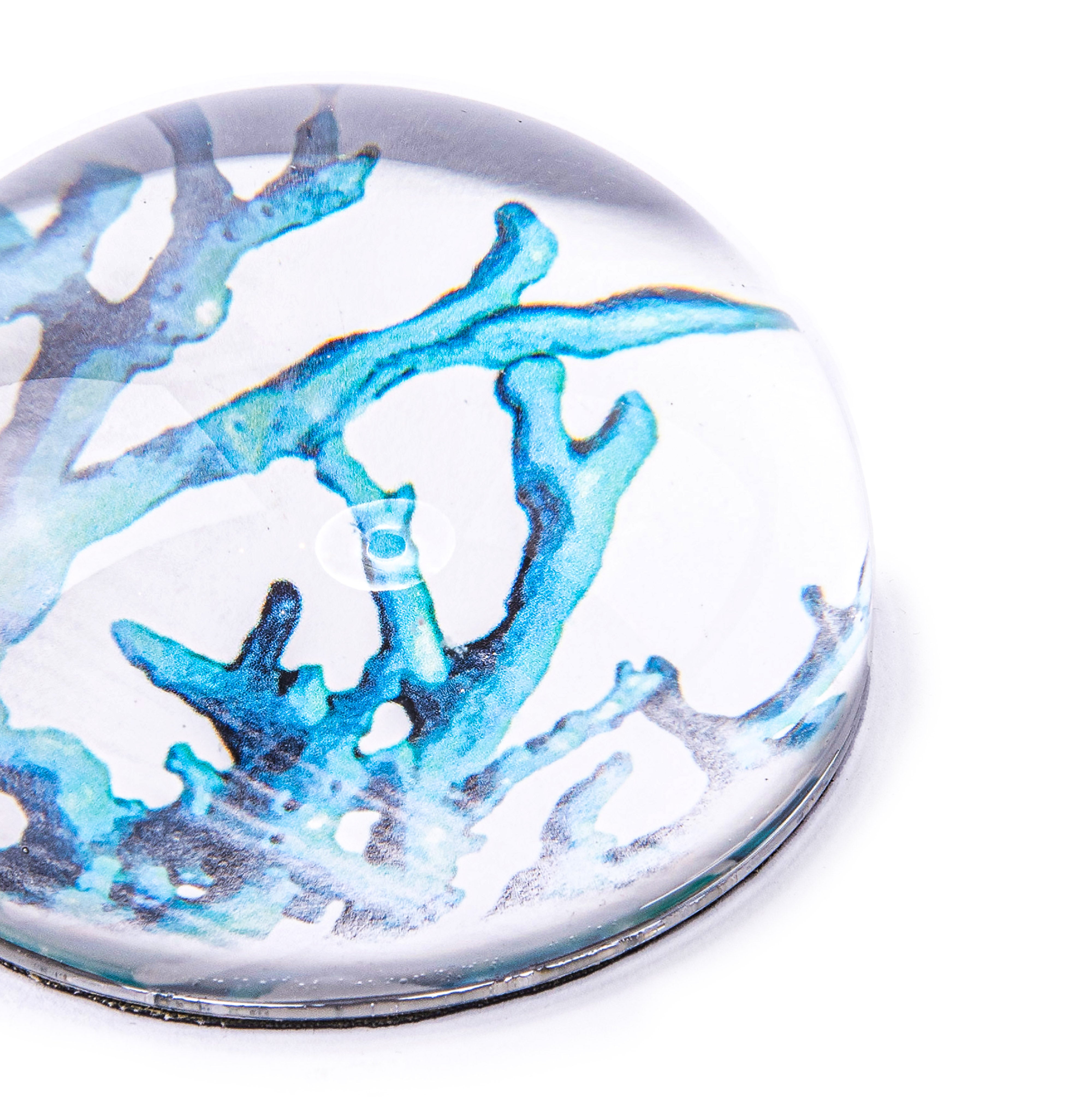 Cindy Avroch. Round Paperweight Designed with Blue Corals