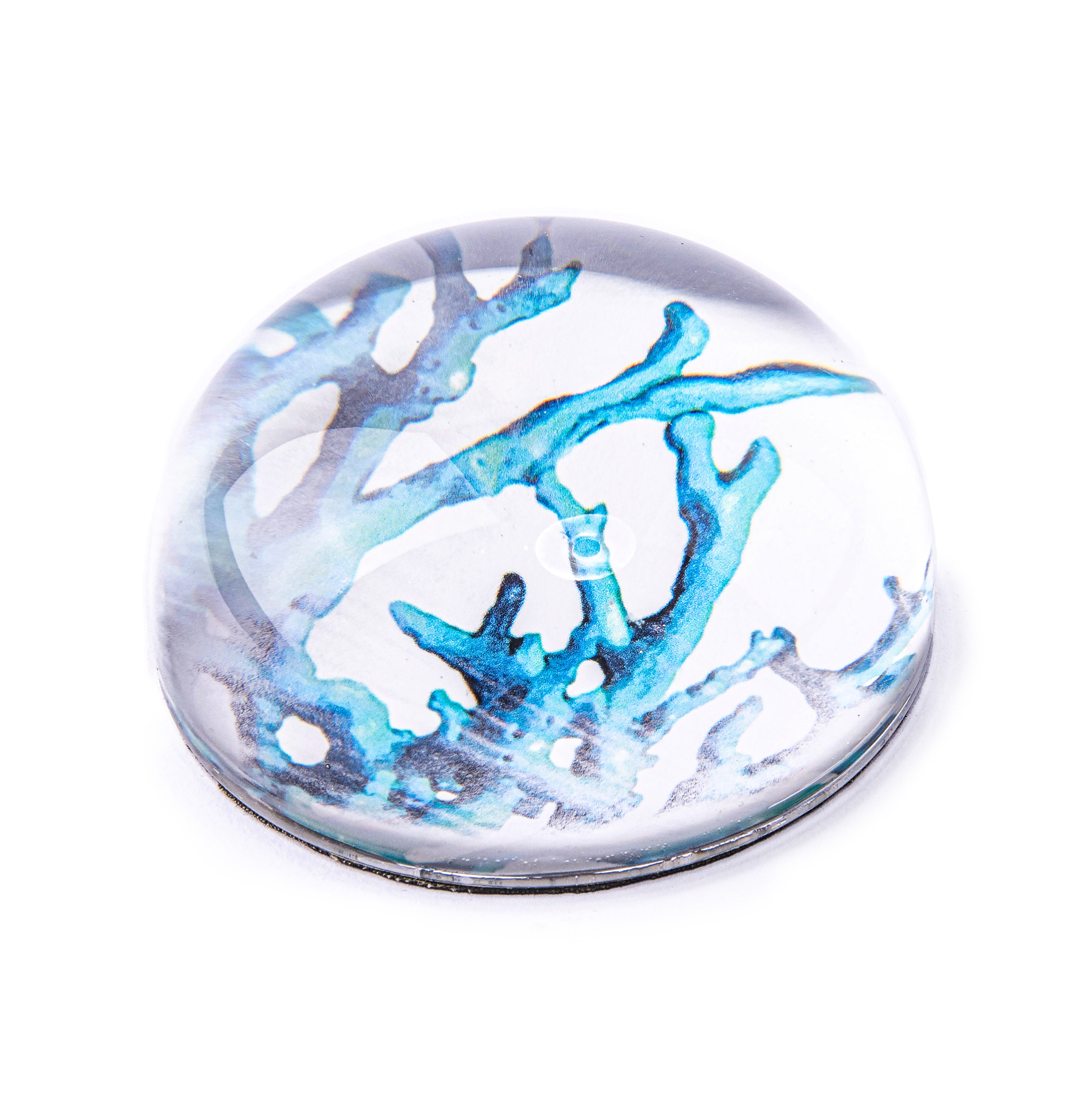 Cindy Avroch. Round Paperweight Designed with Blue Corals