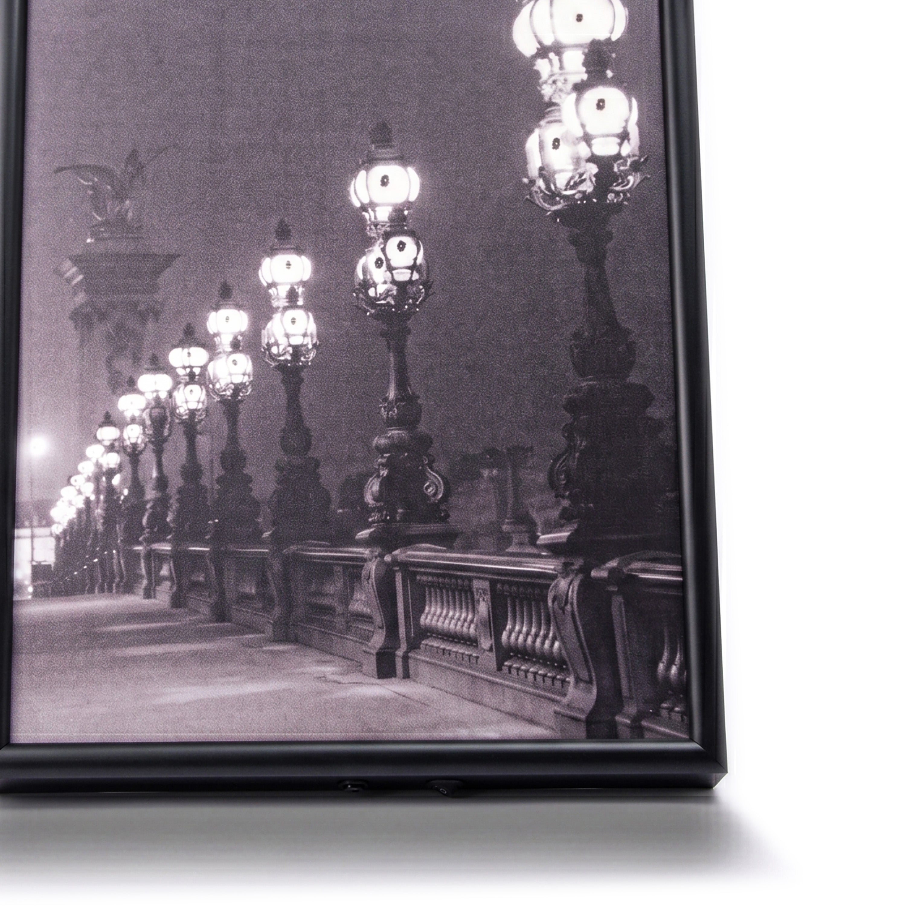 Images & Lumières. Pont Alexandre Tableau. Large Size