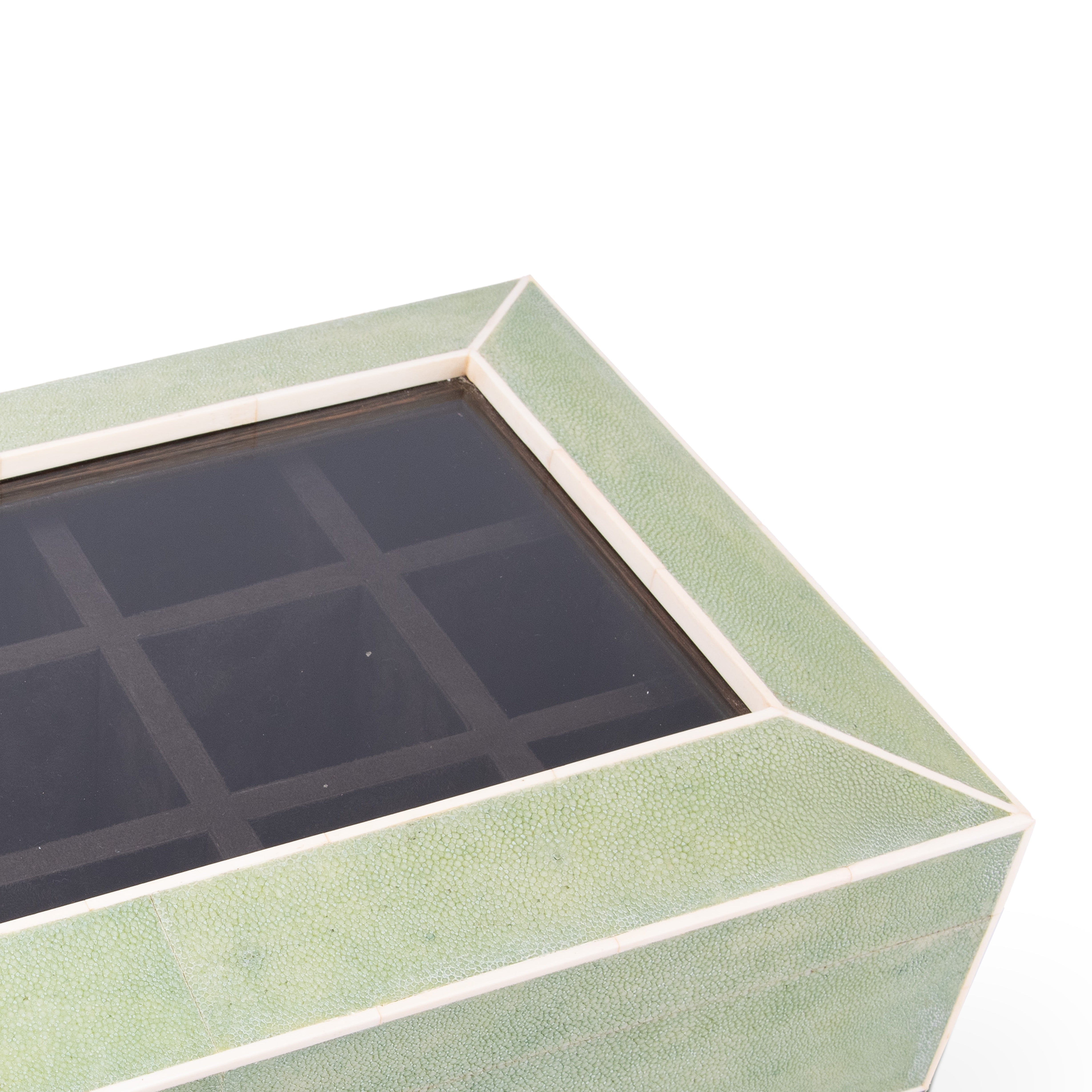 Ginger Brown. Green Seashell Luxury Jewellery Box. Large Size