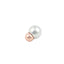 Etain Plus. Stainless Steel Salt & Pepper Set. Small Size