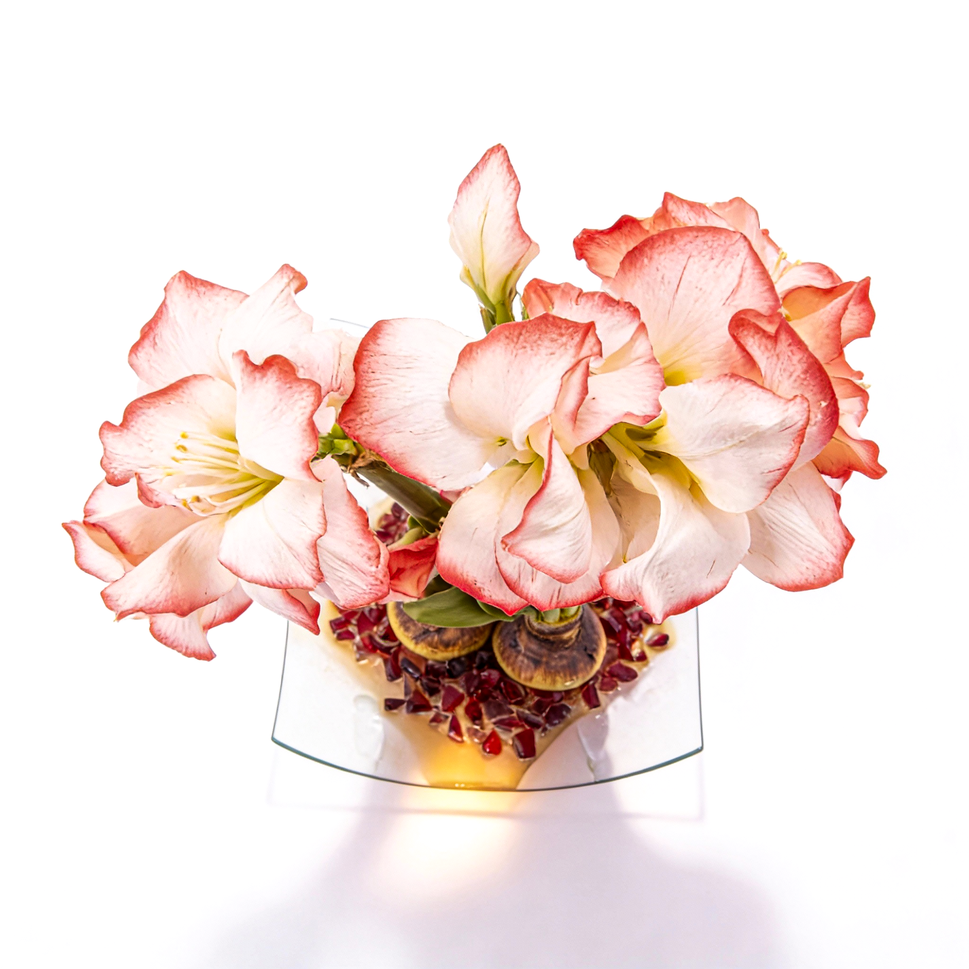 Immortalis Botanicals. Glass Vase with White Flowers. Large Size