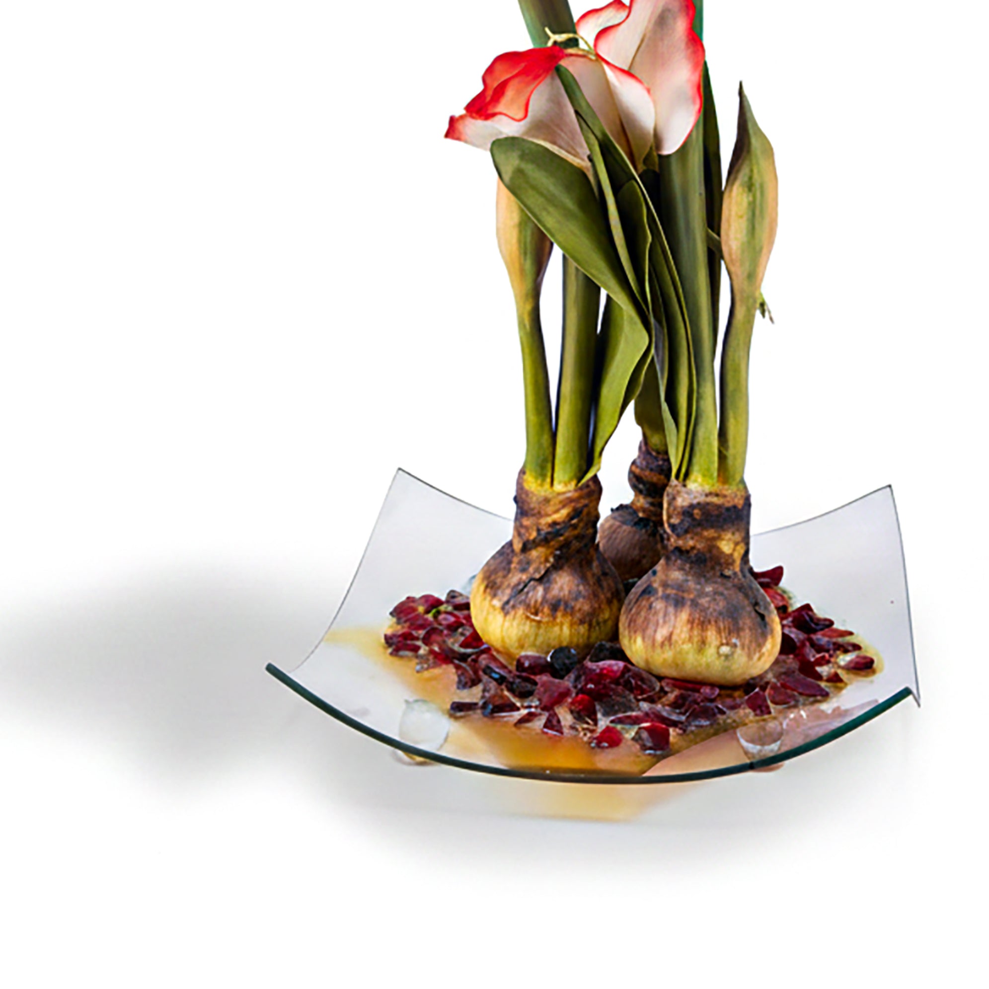 Immortalis Botanicals. Glass Vase with White Flowers. Large Size