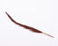 Freund-Mayer. Brown Pheasant Feather Ballpoint Pen