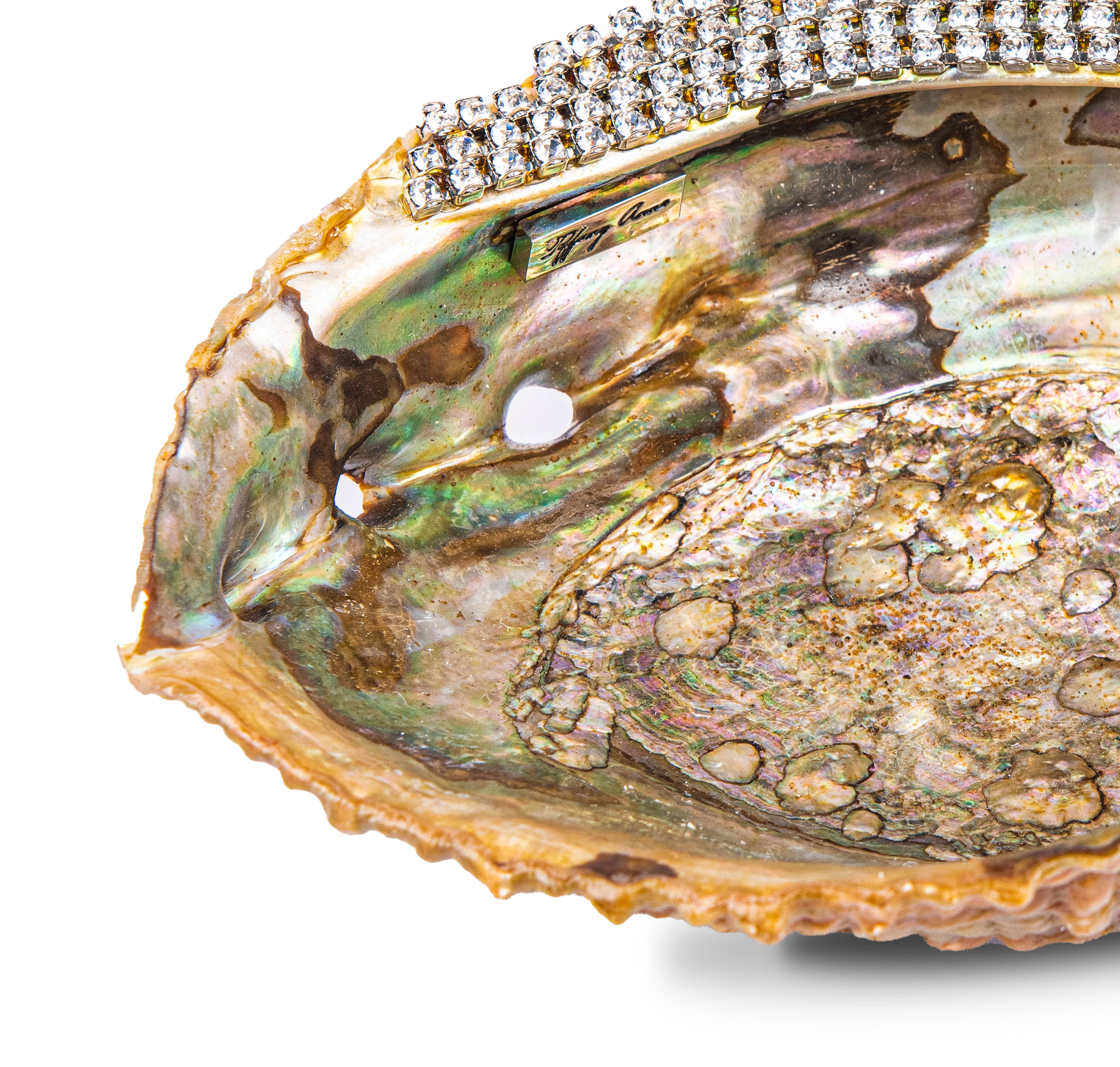 Tiffany Anne. Shell Decorative Plate